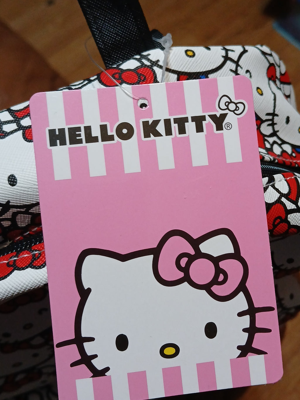 Hello kitty Women's back pack